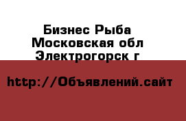 Бизнес Рыба. Московская обл.,Электрогорск г.